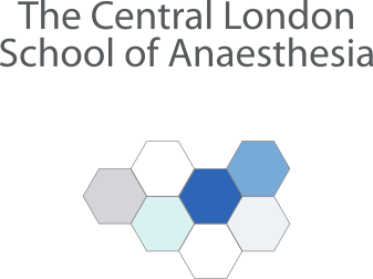 Central London School Logo